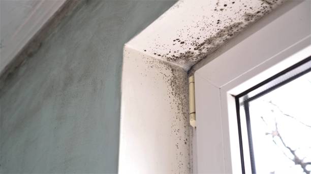Water Damage Restoration in Cramerton, NC