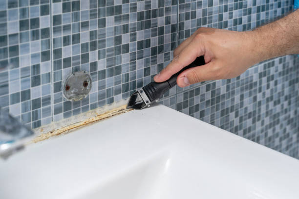 Best Mold Removal Company Near Me  in Cramerton, NC