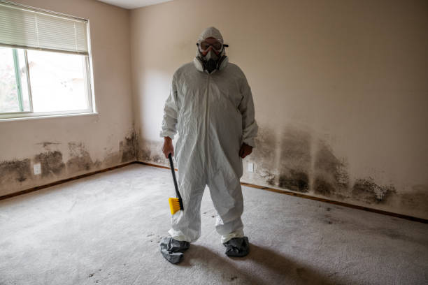 Best Commercial Mold Removal  in Cramerton, NC